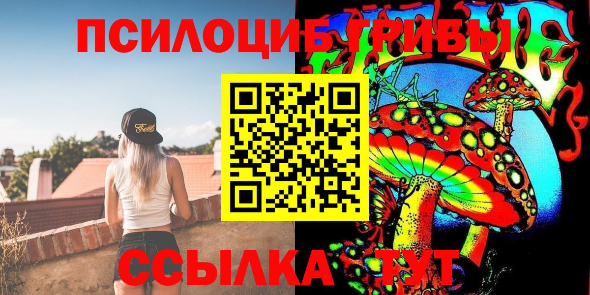 Галлюциногенные грибы Psilocybe Воткинск