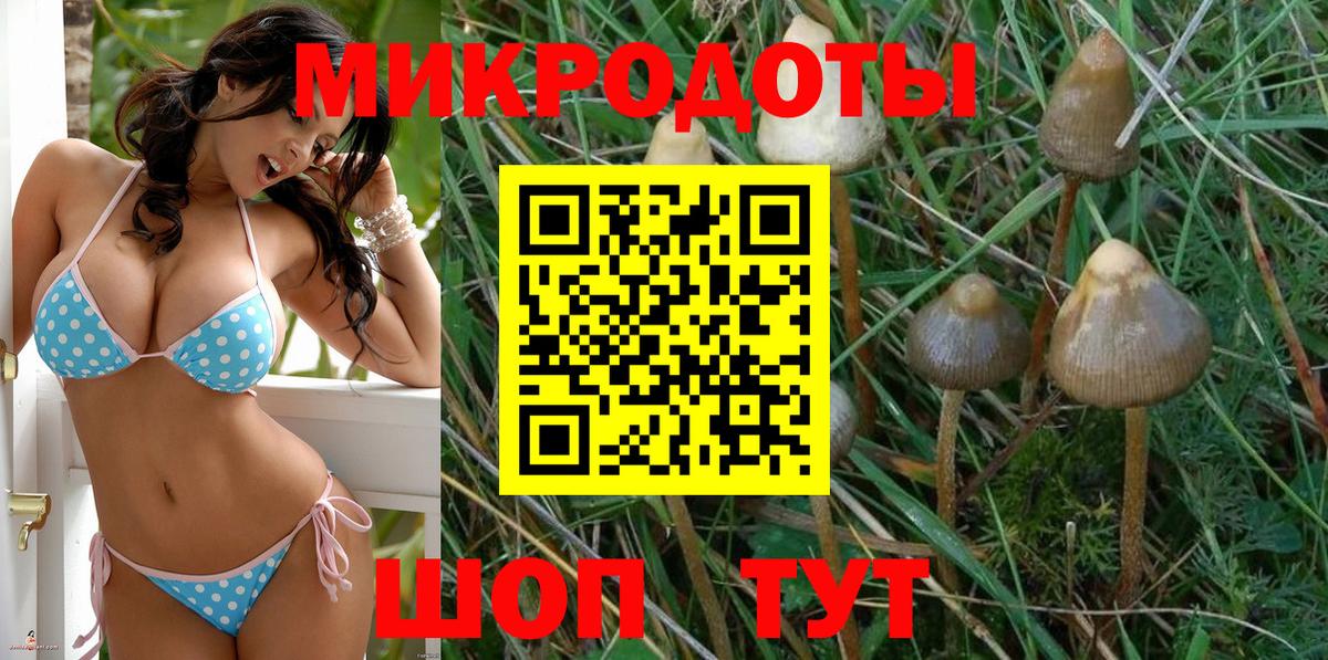 Псилоцибиновые грибы мицелий  Псилоцибиновые грибы мухоморы  наркота  Вход с VPN  Воткинск 